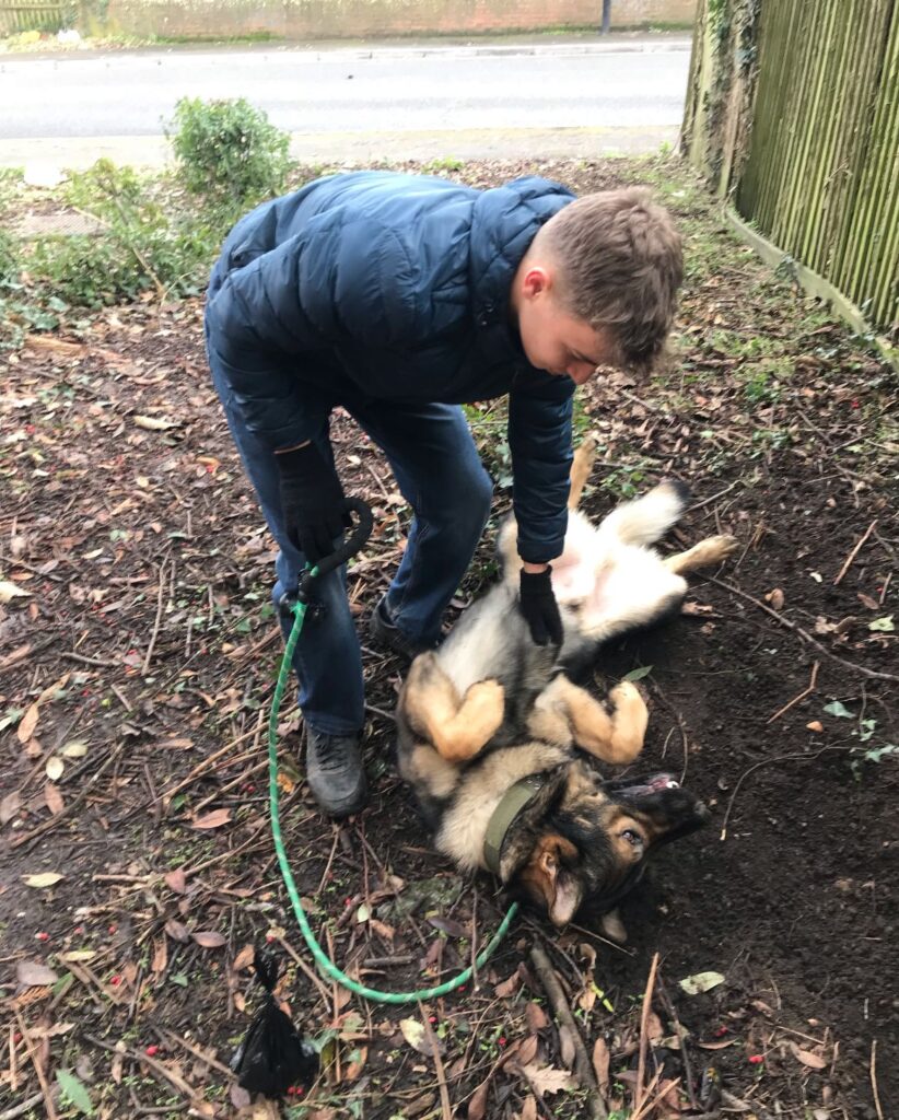 Me petting Jayce the German Shepherd